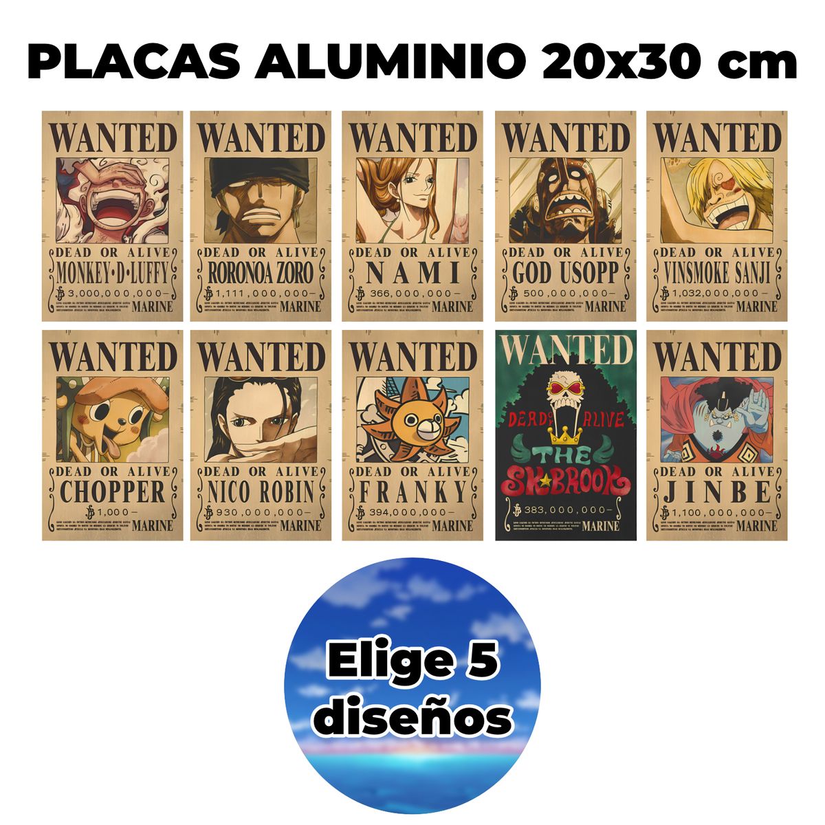 5_placas_one_piece