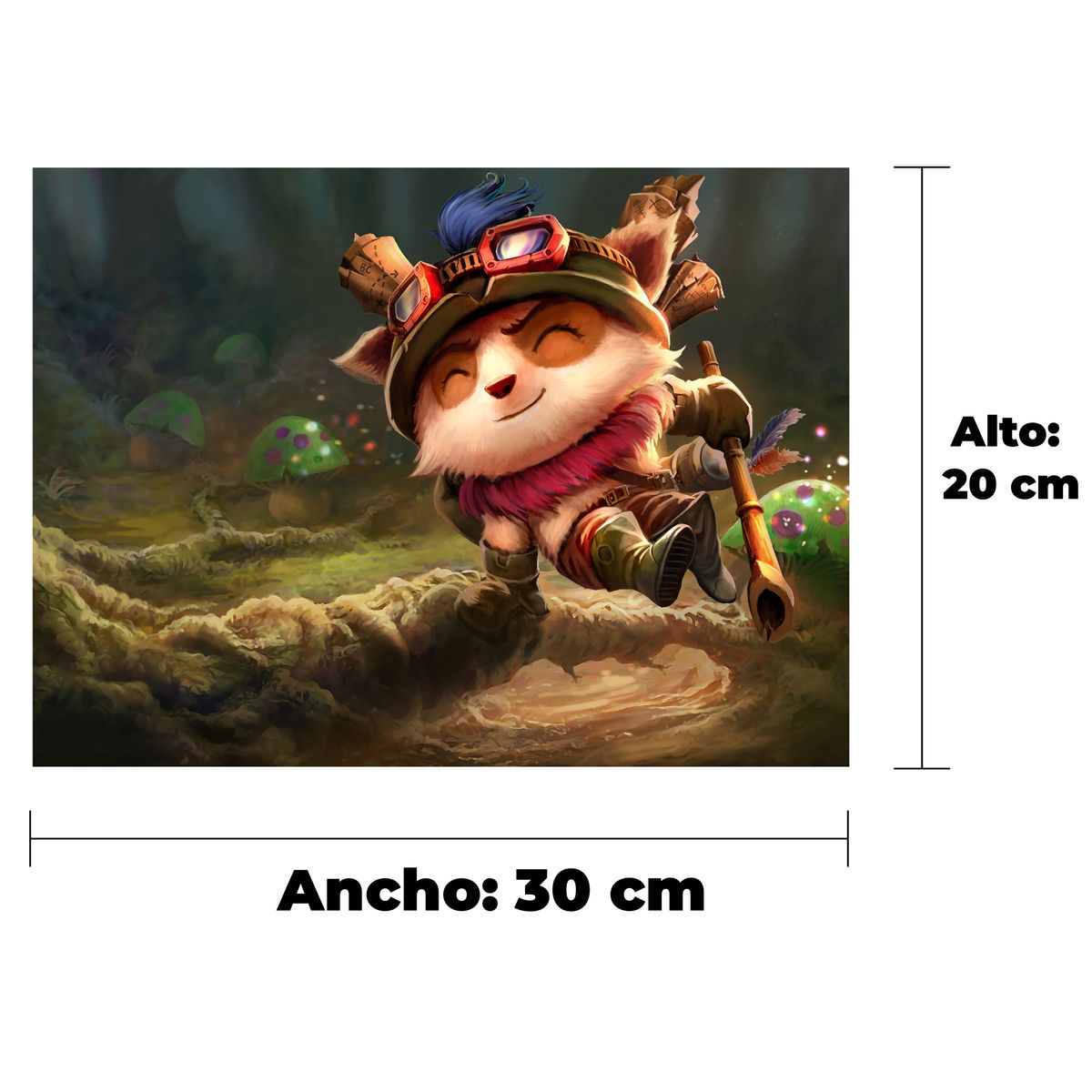 teemo_20x30_medidas_horizontal