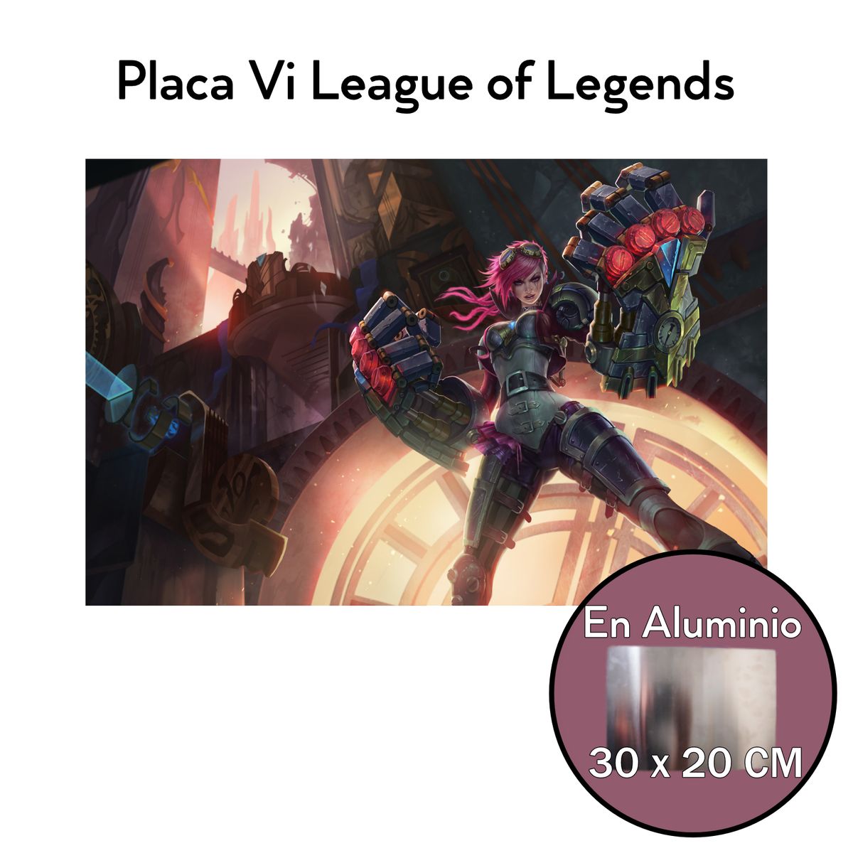 vi_20x30_portada_horizontal