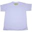 camiseta-de-green-day-estampada-1